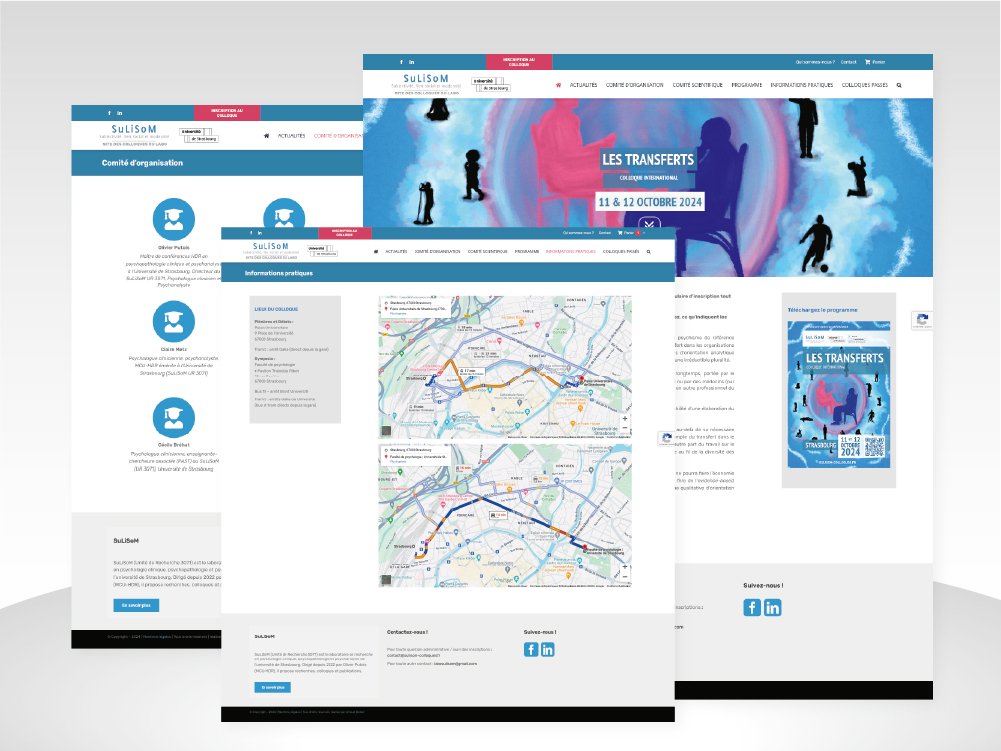 Unistra - SuLiSom - Singing Dodo, agence de communication à Amiens (Hauts-de-France), clients publics, privés, France et monde, tpe au Cac40, tous secteurs.