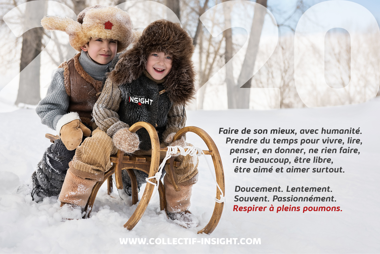 Visuel Insight article voeux 2025 - Singing Dodo, agence de communication à Amiens (Hauts-de-France), clients publics, privés, France et monde, tpe au Cac40, tous secteurs.